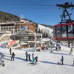 Vaya Zell Am زيل أم سي