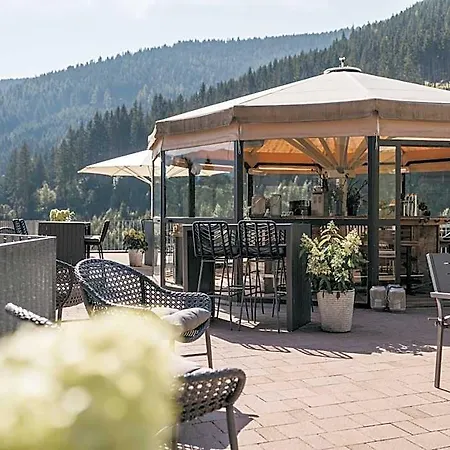 Hotel Vaya Zell Am 4*