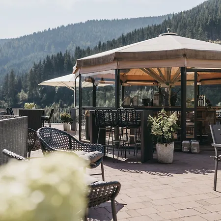 فندق Vaya Zell Am زيل أم سي